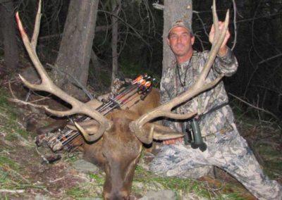 6x6 Bull Elk