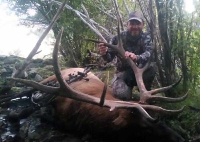Idaho Elk Hunting Outfitters