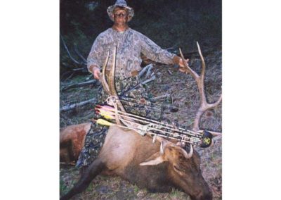6x6 Bull Elk