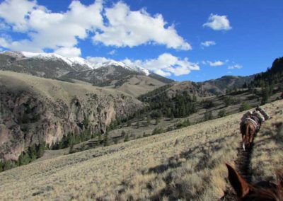 Idaho Elk Hunting Outfitters