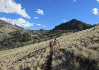 Rawhide Outfitters Elk Hunt