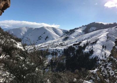 Lion Hunting country in Idaho
