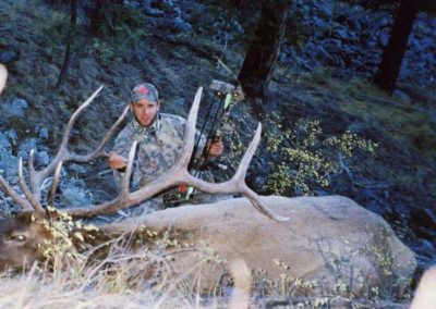 Pope & Young Bull Elk
