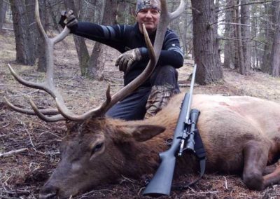Elk hunts