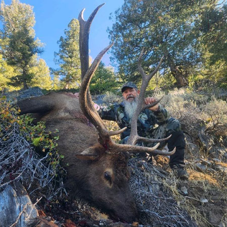 idaho elk hunting guides