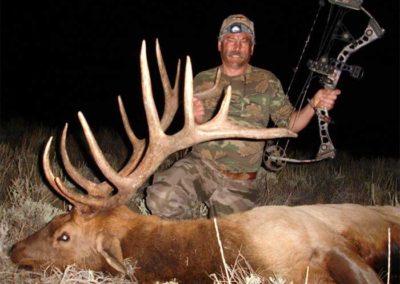 7x6 Bull Elk