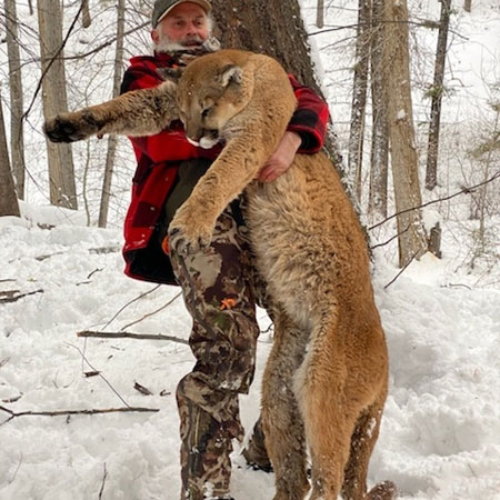 Idaho Mountain Lion Hunts
