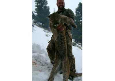 Idaho Lion hunts