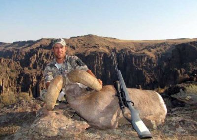 Bighorn sheep hunt success
