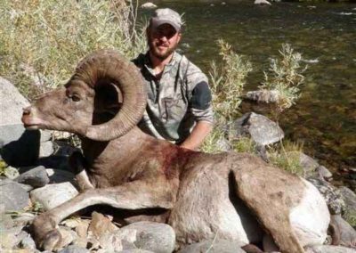 Big Horn Sheep Hunt