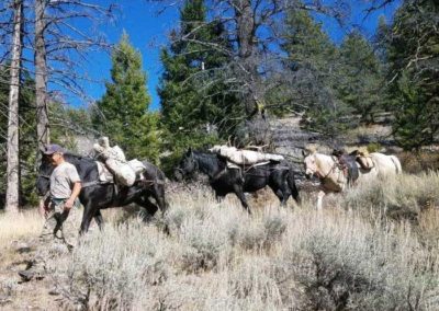 Packing Out Elk 2020