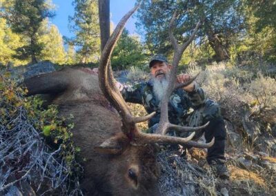 Permitted Rifle Elk Hunt 2022 John McGee