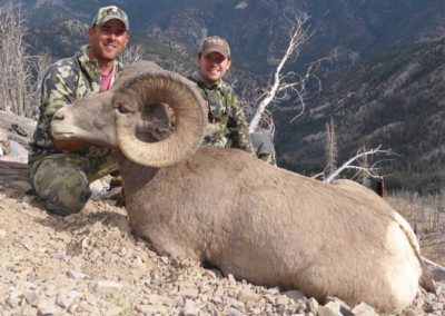 Guided Idaho Sheep Hunts